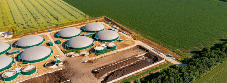 Disseny-sense-titol-2-scaled