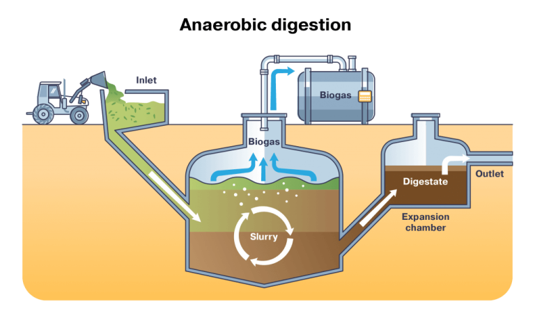 anaerobic_2023-08-30a-1024x609